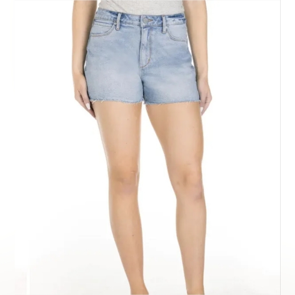 Articles of Society Womens Hi Rise Ziggy Denim Cut Off Shorts SZ 29